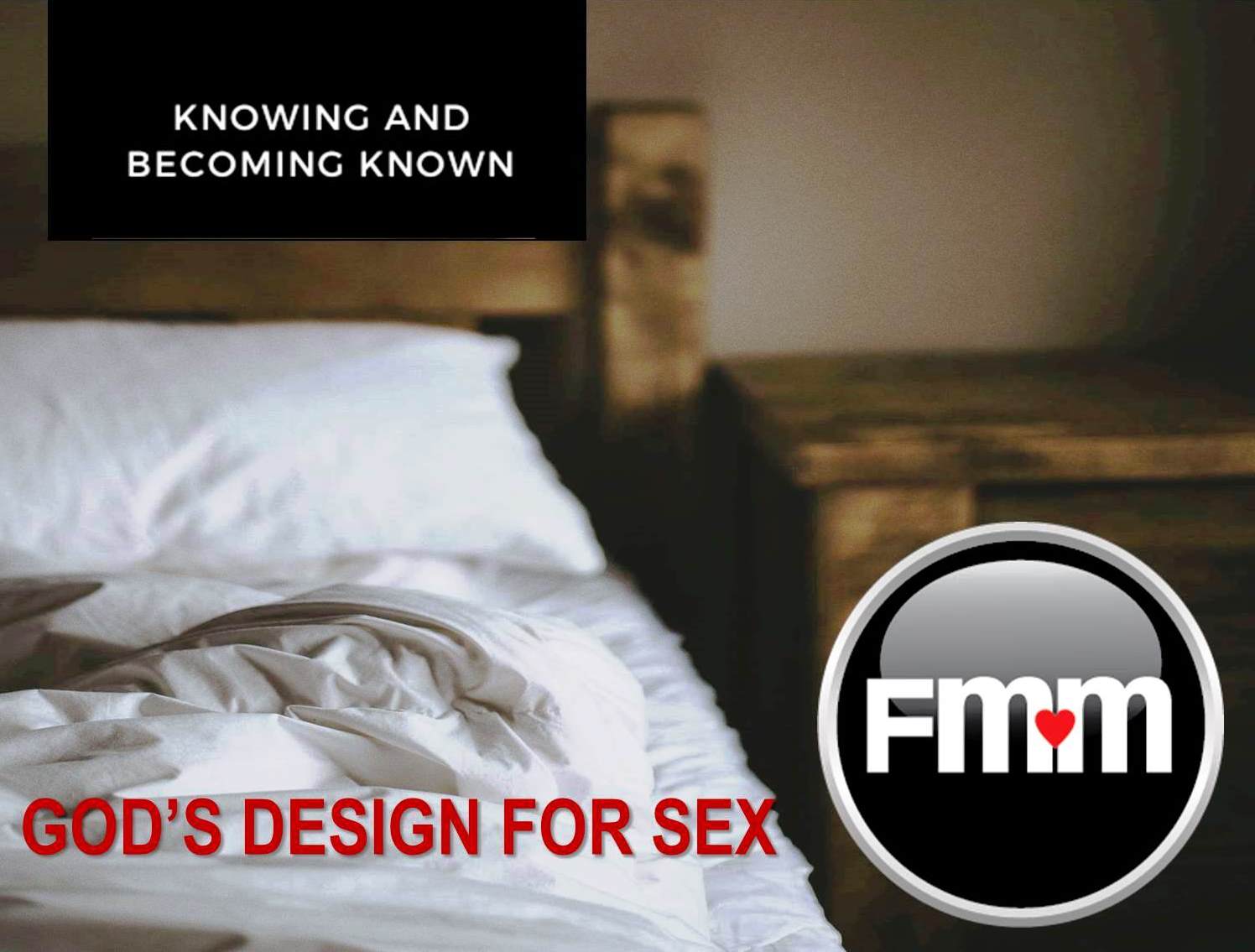 God's Design for Sexual Intimacy Workshop